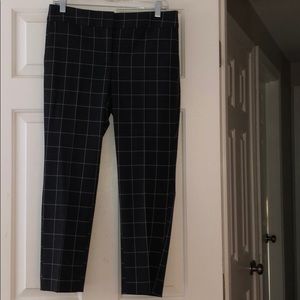 New! LOFT Gray Pants